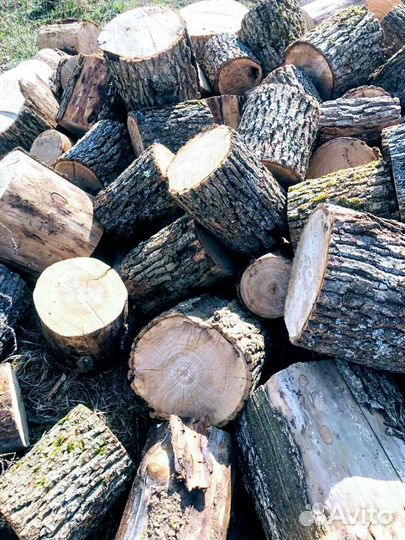 Дрова дубовые