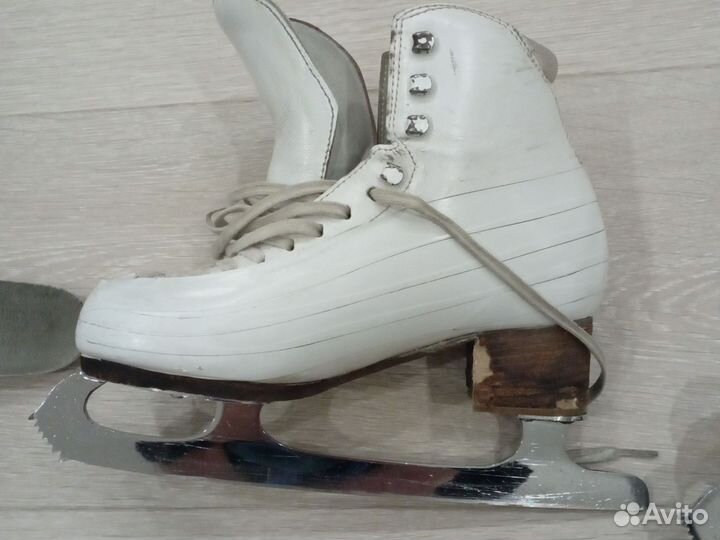 Коньки фигурные Risport 250