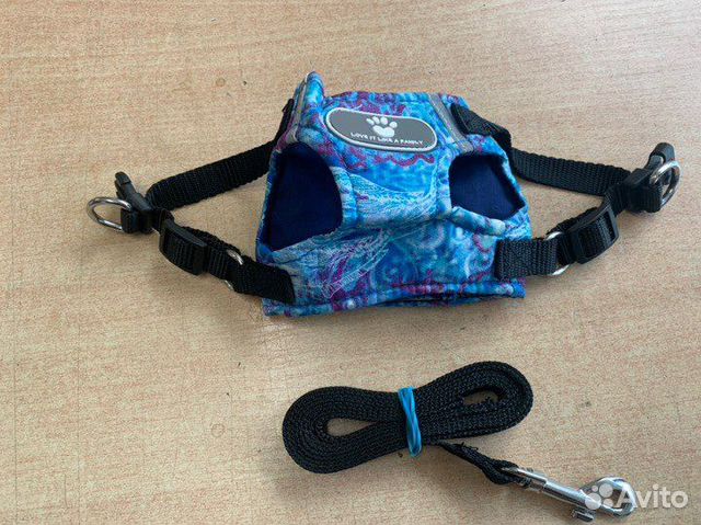 Шлейка для маленькой собаки