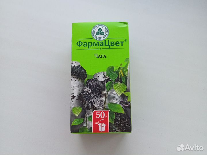 Чага (берёзовый гриб)