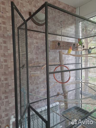 Клетка большая для птиц