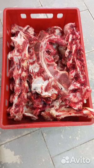 Суповые кости