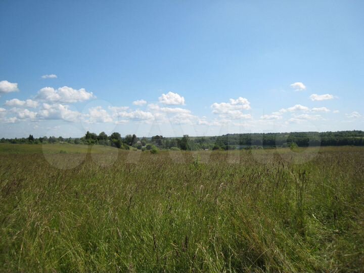 Участок 57 сот. (СНТ, ДНП)