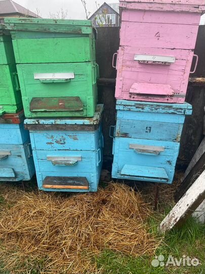 Улей для пчел бу