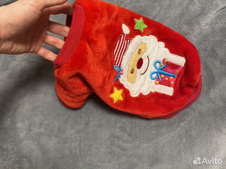 Одежда для животных