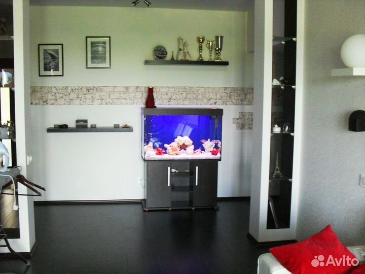 Профессиональное обслуживание аквариумов