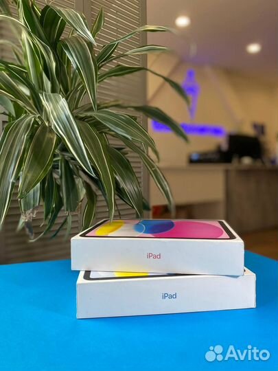 Планшет Apple iPad 10.9 (2022) 256GB Wi-Fi Global