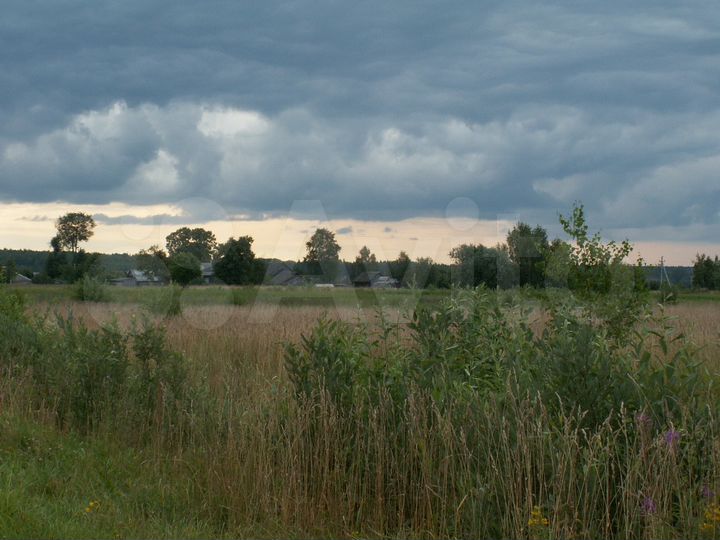 Участок 1,7 га (ИЖС)