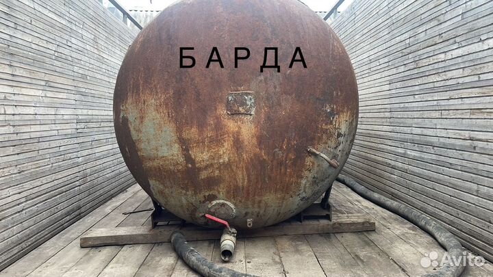 Барда кукурузная