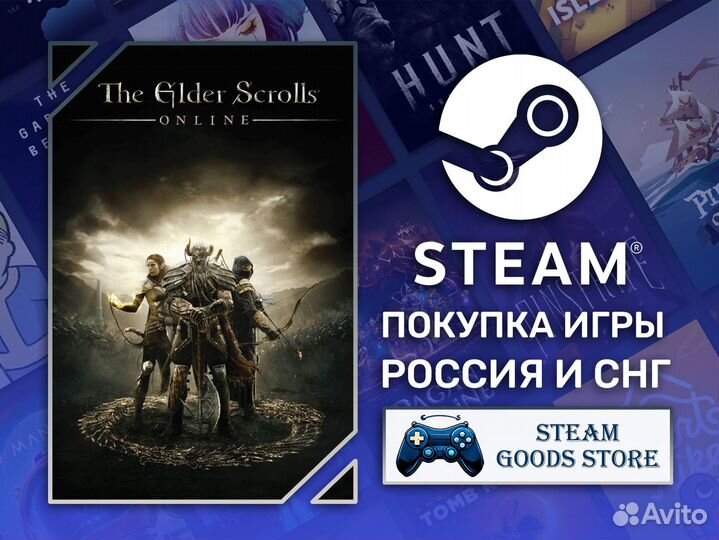 The Elder Scrolls Online (Steam)