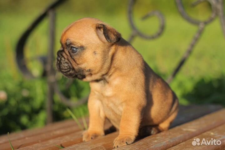 Французские булечки