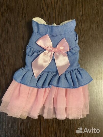 Одежда для собак