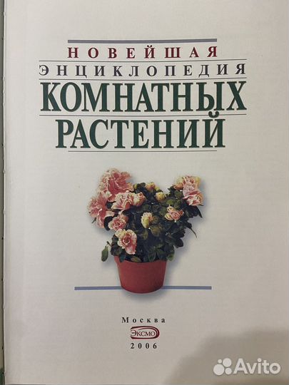 Книга