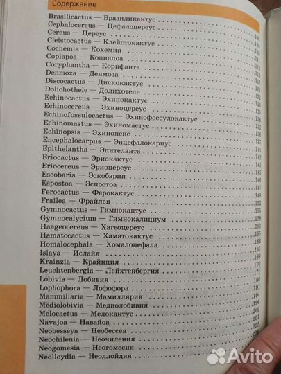 Целители в нашем доме