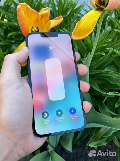 iPhone 13, 256 ГБ