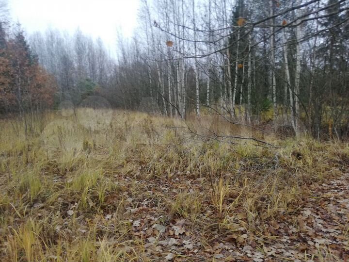 Участок 15 сот. (СНТ, ДНП)