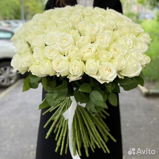 Букет роз 101 роза с доставкой