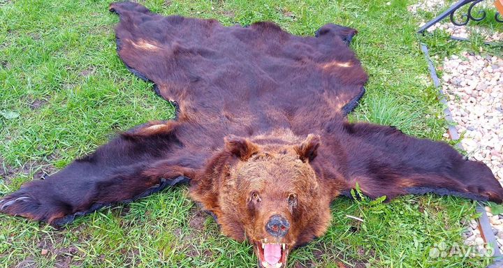 Шкура медведя имитация