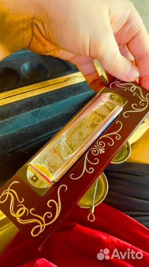 Гармошка губная Hohner M2260