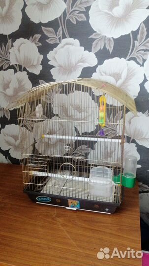 Клетка для попугая корелла