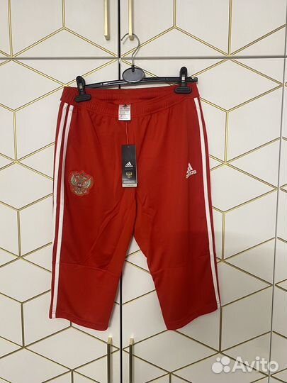 Бриджи сборной россии рфс 3/4