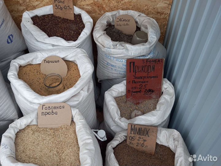 Семена на посев