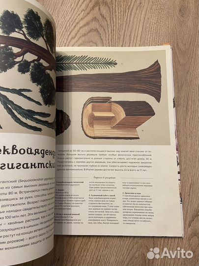 Ботаникум книга