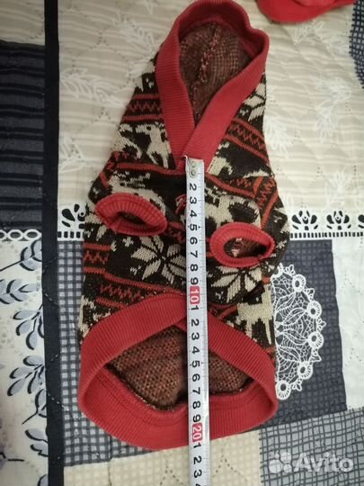 Одежда для собак мелких пород