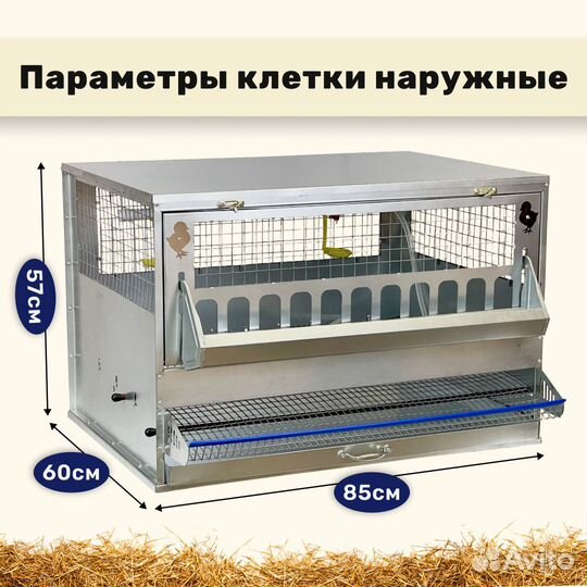 Клетки для кур несушек