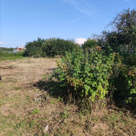 Участок 4,5 сот. (СНТ, ДНП)