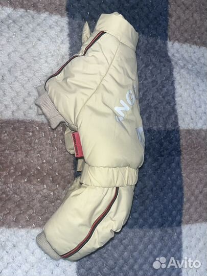 Комбинезон для собаки