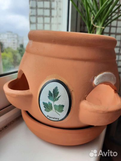 Глиняный горшок для цветов