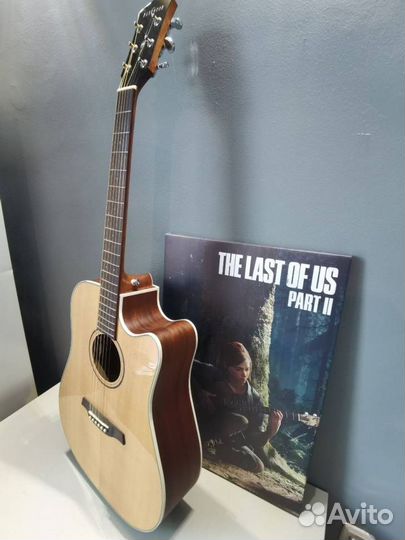 Электроакустика Parkwood S26 GT С Чехлом