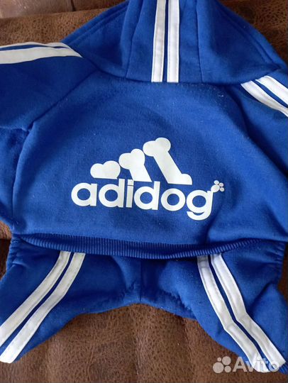 Товары для маленькой собачки