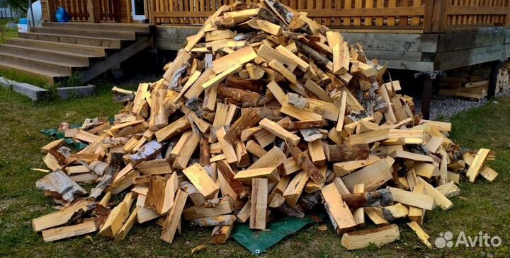 Дрова понимающих