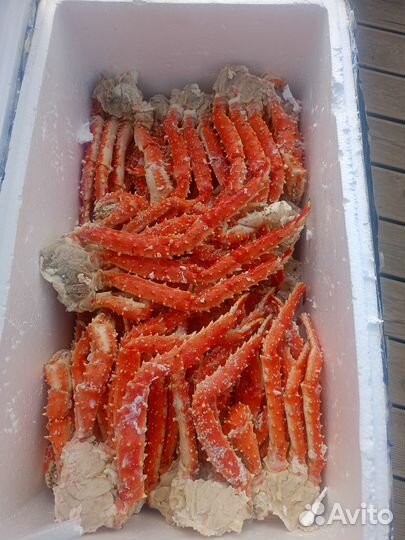 Краб камчатский
