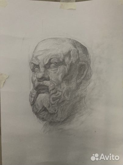 Рисунок Бюст. Копия