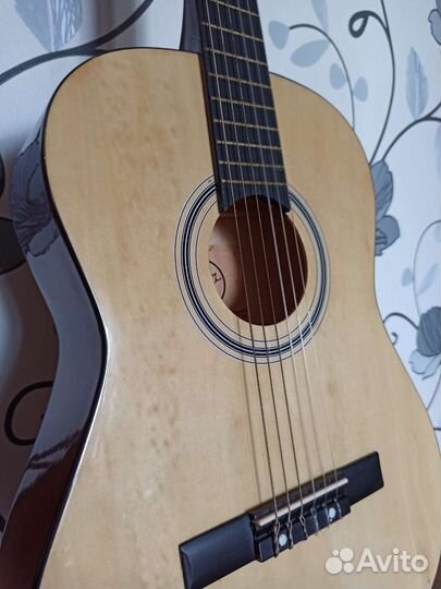 Акустическая гитара vision
