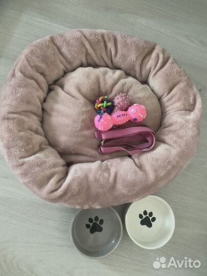 Лежанка для собак