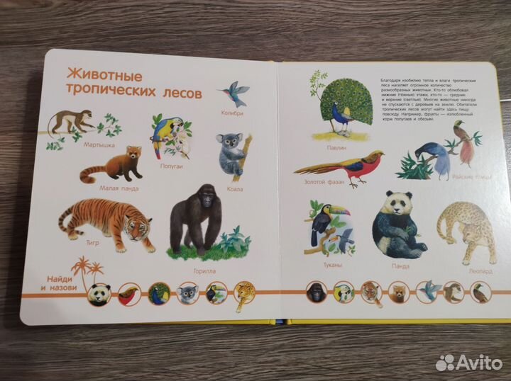 Развивающая книга (игрушка) для детей новая