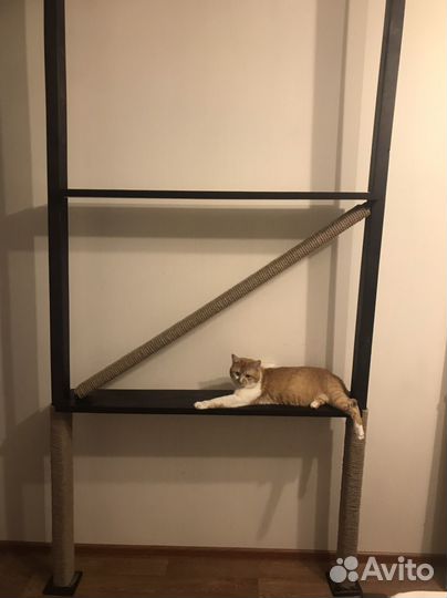 Когтеточка с полками
