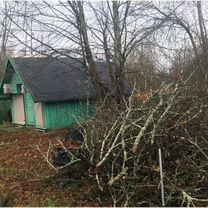 Дом 43 м² на участке 8 сот.