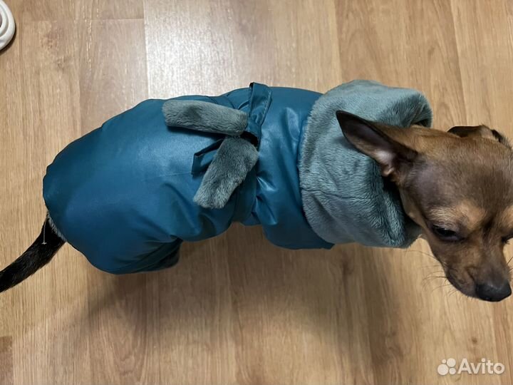 Зимняя куртка для собак