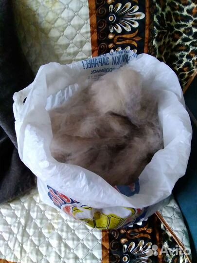 Собачья шерсть пух