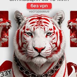 НЕЙРОСЕТИ В ОДНОМ СЕРВИСЕ ОАИ БЕЗ VPN