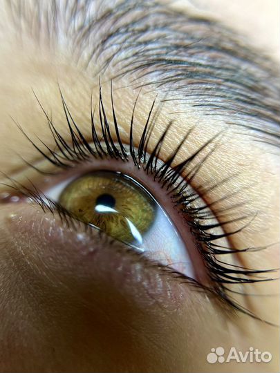 Ламинирование ресниц, брови, ботокс