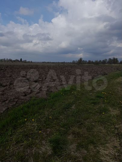 Участок 5,18 га (СНТ, ДНП)