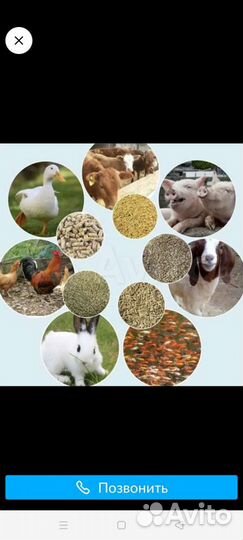 Корма для животных и домашней птицы