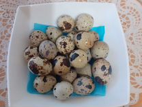 Яйца перепелиные домашние (доставка бесплатно)