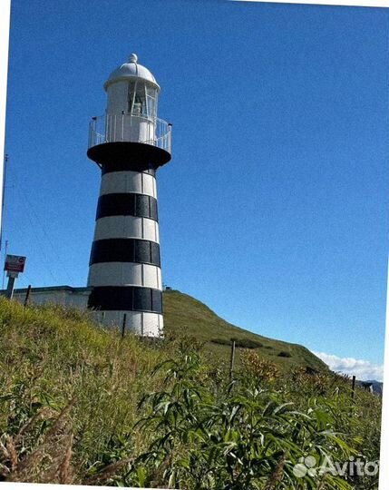 Турпоездка на Камчатку летом программа до 9 дн